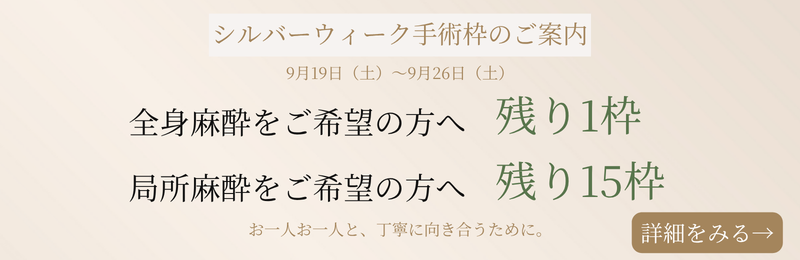 シルバーウィーク