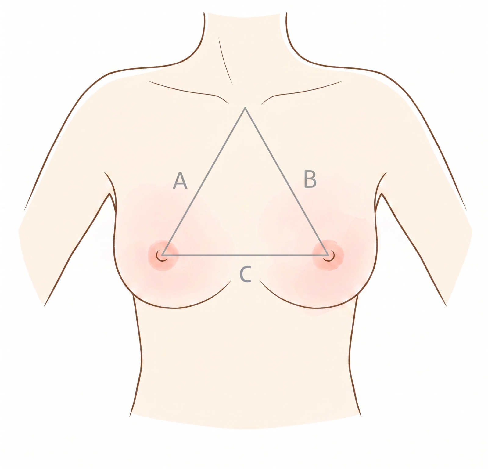 美しいバストの位置の目安。胸骨上窩と左右の乳頭を結ぶと正三角形に近くなることを示した図